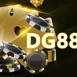 dg888